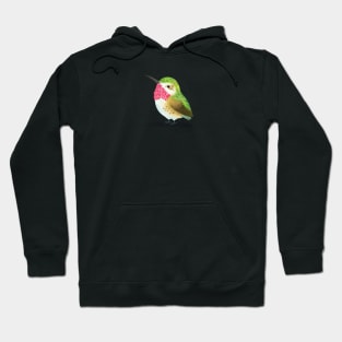 Calliope Hummingbird Hoodie